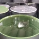 Vacuum Casting RAPMAF