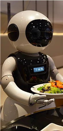Robotics RAPMAF
